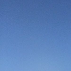 Meet your Posher, Jodi